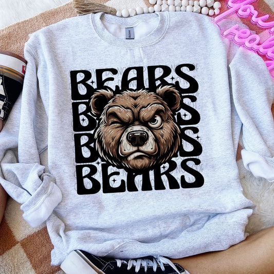 Bears Winking Mascot